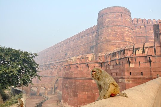 Tour image 4